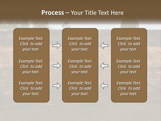 A Water Source With A Tree In The Background PowerPoint Template