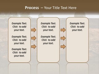 A Water Source With A Tree In The Background PowerPoint Template