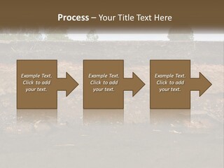 A Water Source With A Tree In The Background PowerPoint Template