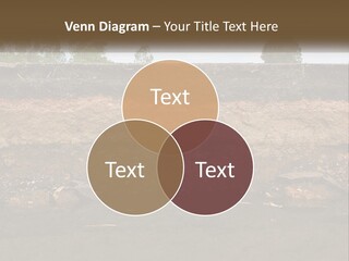 A Water Source With A Tree In The Background PowerPoint Template