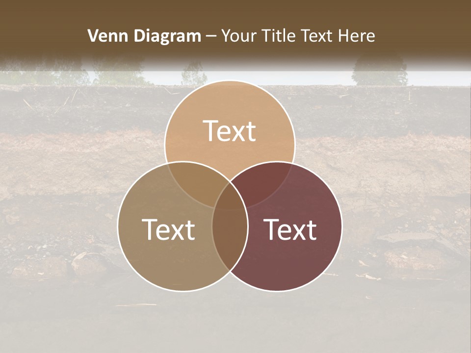 A Water Source With A Tree In The Background PowerPoint Template