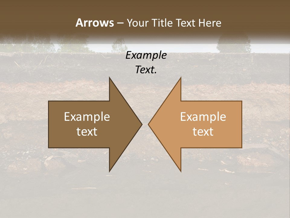 A Water Source With A Tree In The Background PowerPoint Template