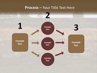 A Water Source With A Tree In The Background PowerPoint Template