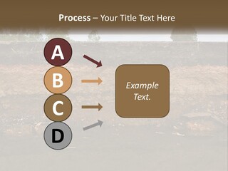 A Water Source With A Tree In The Background PowerPoint Template