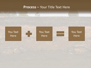 A Water Source With A Tree In The Background PowerPoint Template