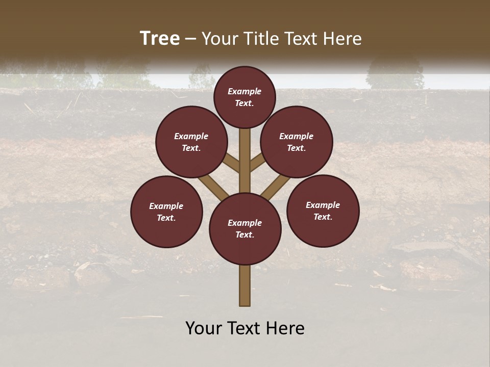 A Water Source With A Tree In The Background PowerPoint Template