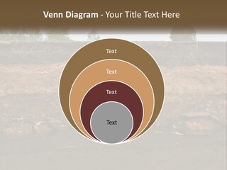 A Water Source With A Tree In The Background PowerPoint Template