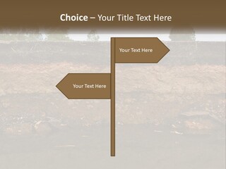 A Water Source With A Tree In The Background PowerPoint Template