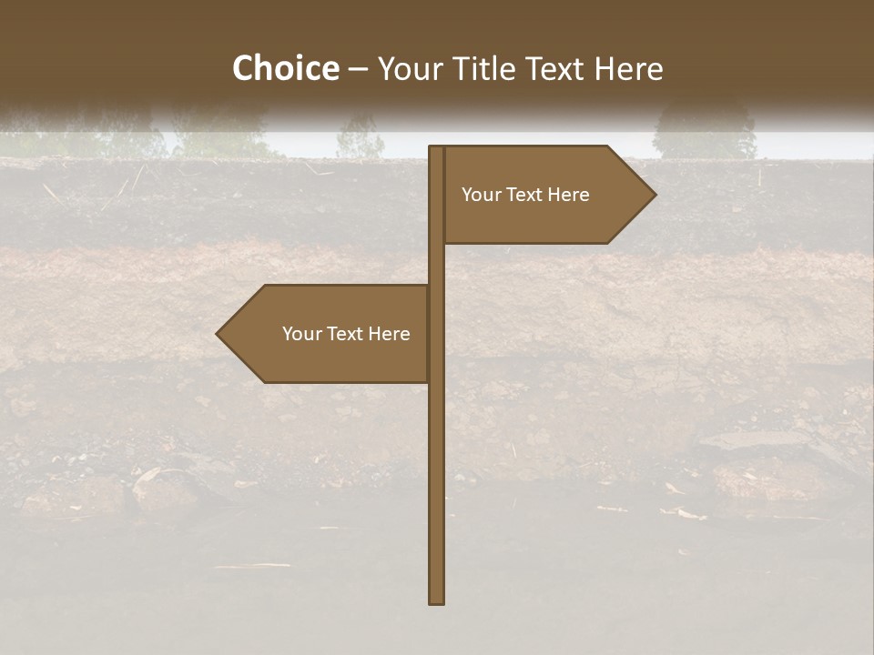 A Water Source With A Tree In The Background PowerPoint Template