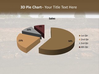 A Water Source With A Tree In The Background PowerPoint Template