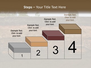 A Water Source With A Tree In The Background PowerPoint Template