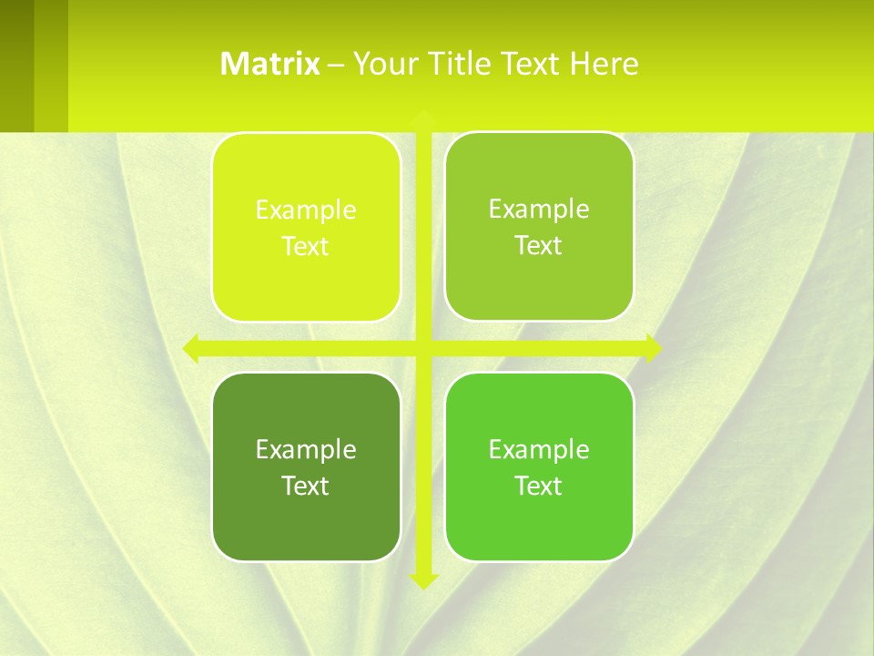 A Green Leaf Powerpoint Presentation PowerPoint Template