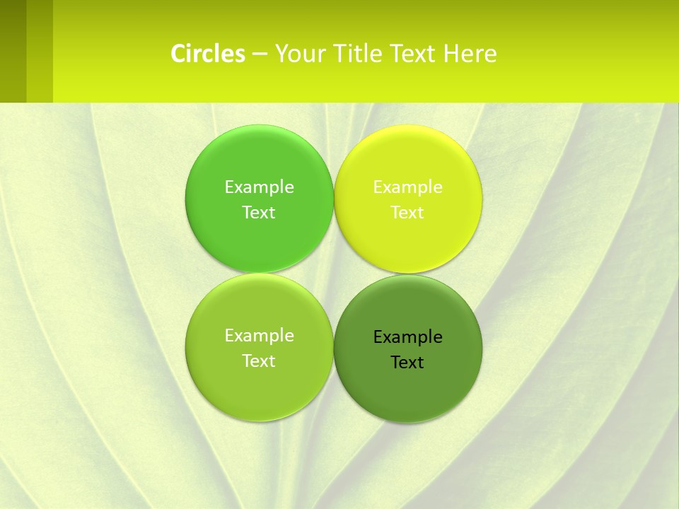 A Green Leaf Powerpoint Presentation PowerPoint Template