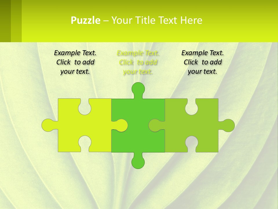 A Green Leaf Powerpoint Presentation PowerPoint Template