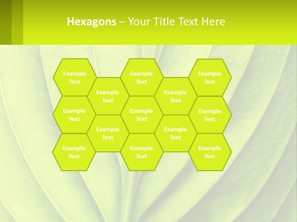 A Green Leaf Powerpoint Presentation PowerPoint Template