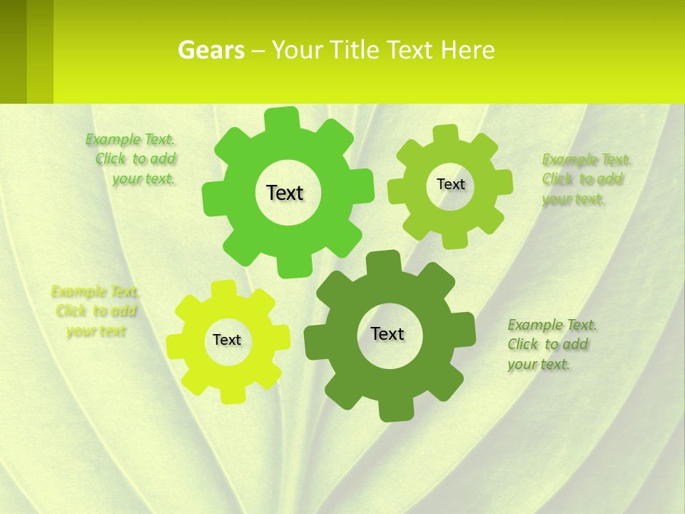 A Green Leaf Powerpoint Presentation PowerPoint Template