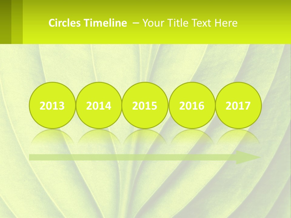 A Green Leaf Powerpoint Presentation PowerPoint Template