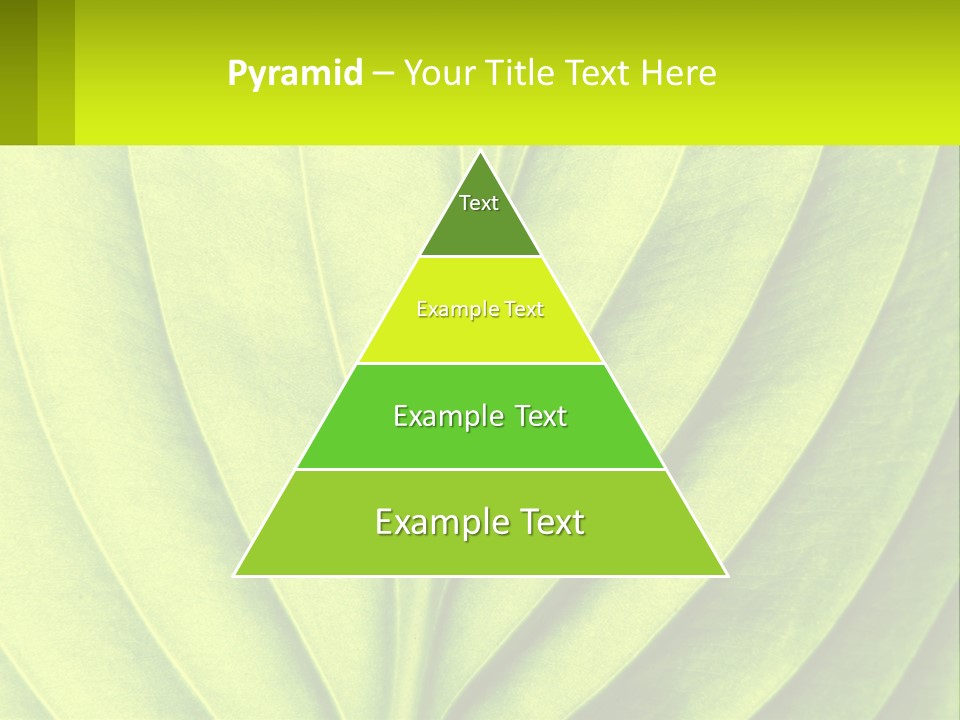 A Green Leaf Powerpoint Presentation PowerPoint Template