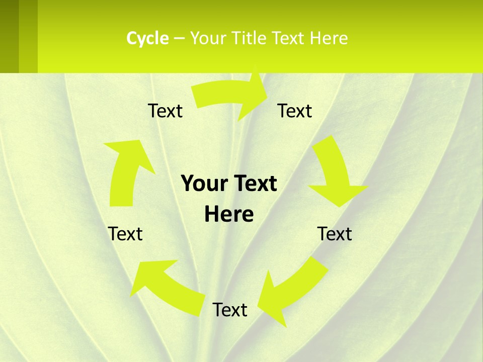 A Green Leaf Powerpoint Presentation PowerPoint Template