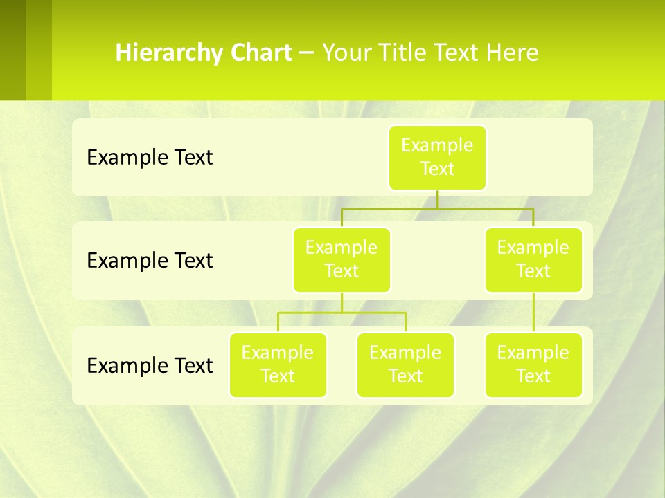A Green Leaf Powerpoint Presentation PowerPoint Template