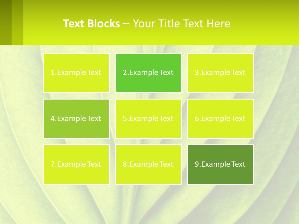 A Green Leaf Powerpoint Presentation PowerPoint Template