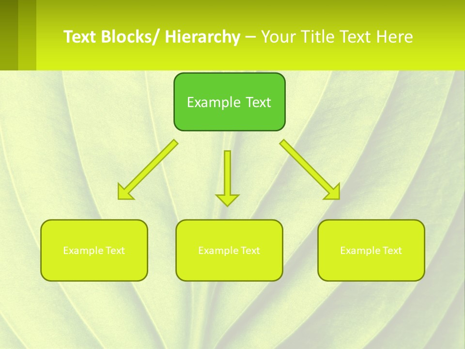 A Green Leaf Powerpoint Presentation PowerPoint Template
