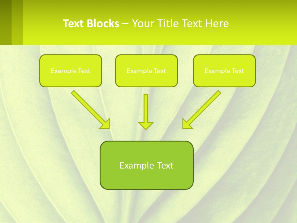 A Green Leaf Powerpoint Presentation PowerPoint Template