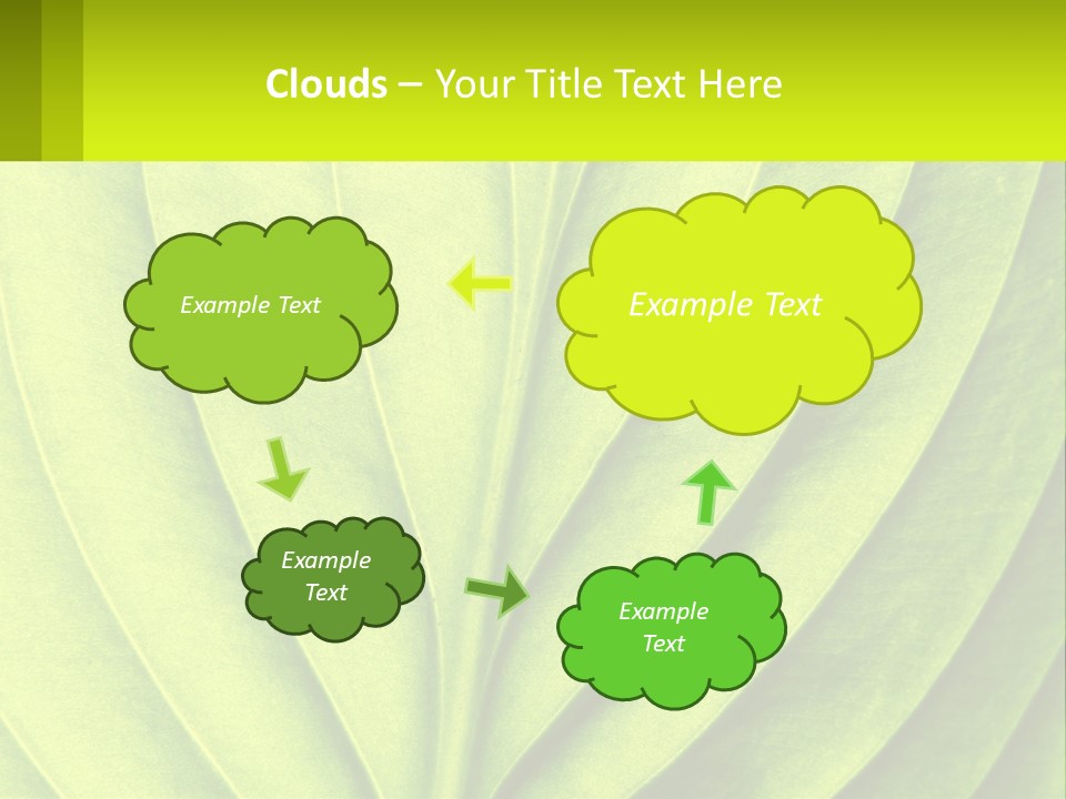 A Green Leaf Powerpoint Presentation PowerPoint Template