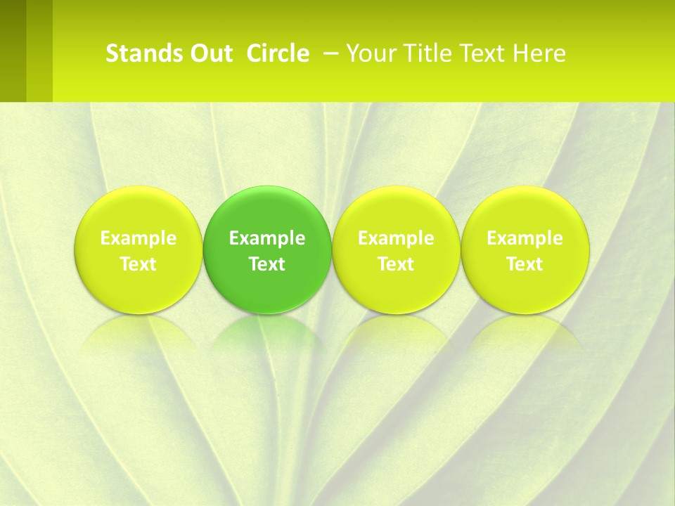 A Green Leaf Powerpoint Presentation PowerPoint Template