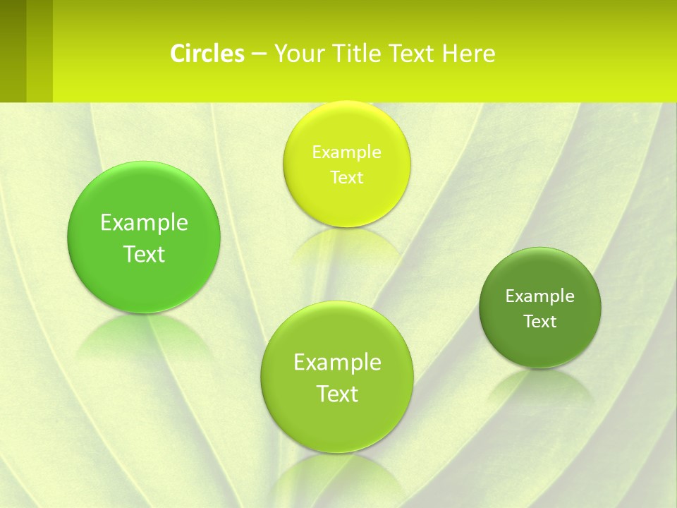 A Green Leaf Powerpoint Presentation PowerPoint Template