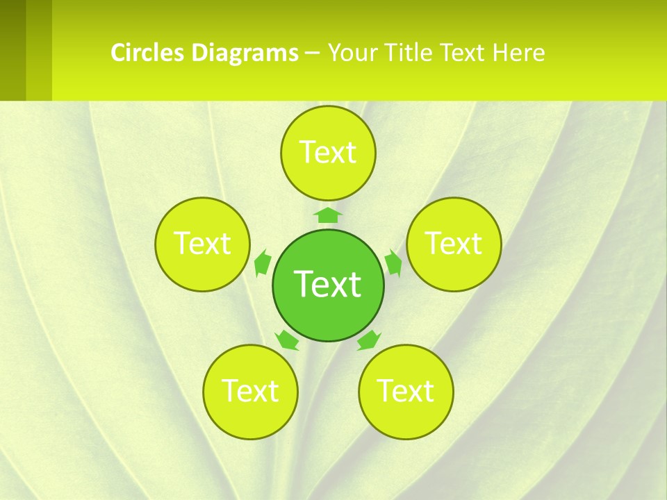 A Green Leaf Powerpoint Presentation PowerPoint Template