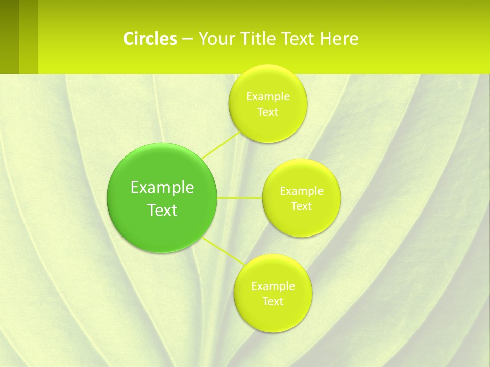 A Green Leaf Powerpoint Presentation PowerPoint Template