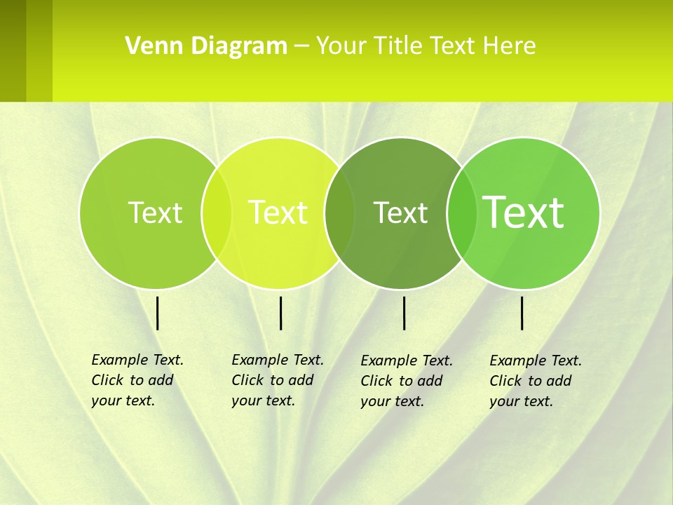 A Green Leaf Powerpoint Presentation PowerPoint Template