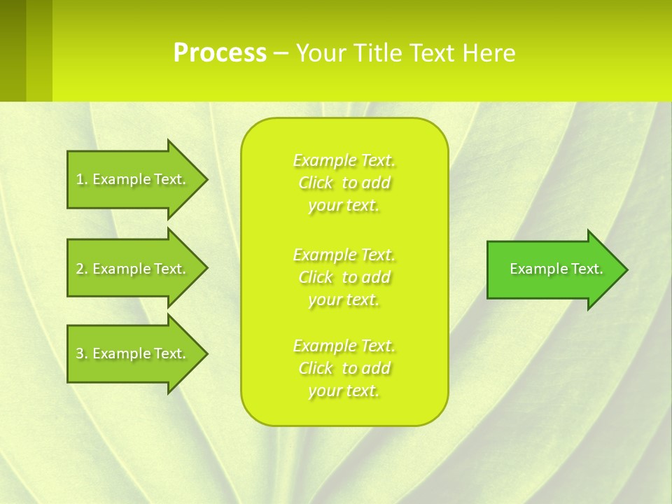 A Green Leaf Powerpoint Presentation PowerPoint Template