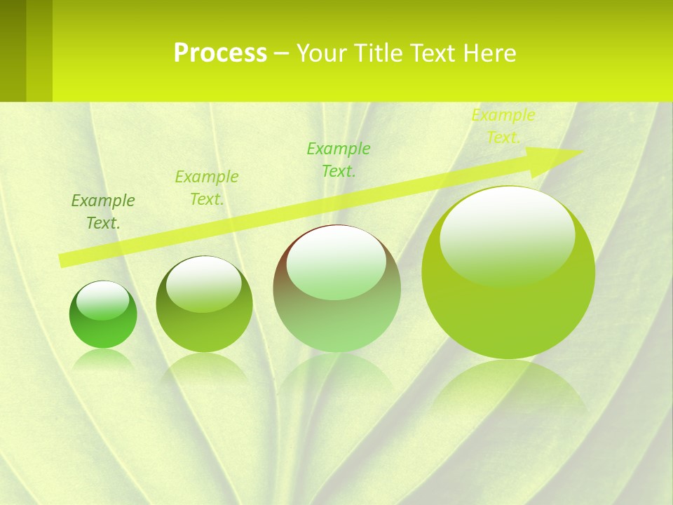 A Green Leaf Powerpoint Presentation PowerPoint Template