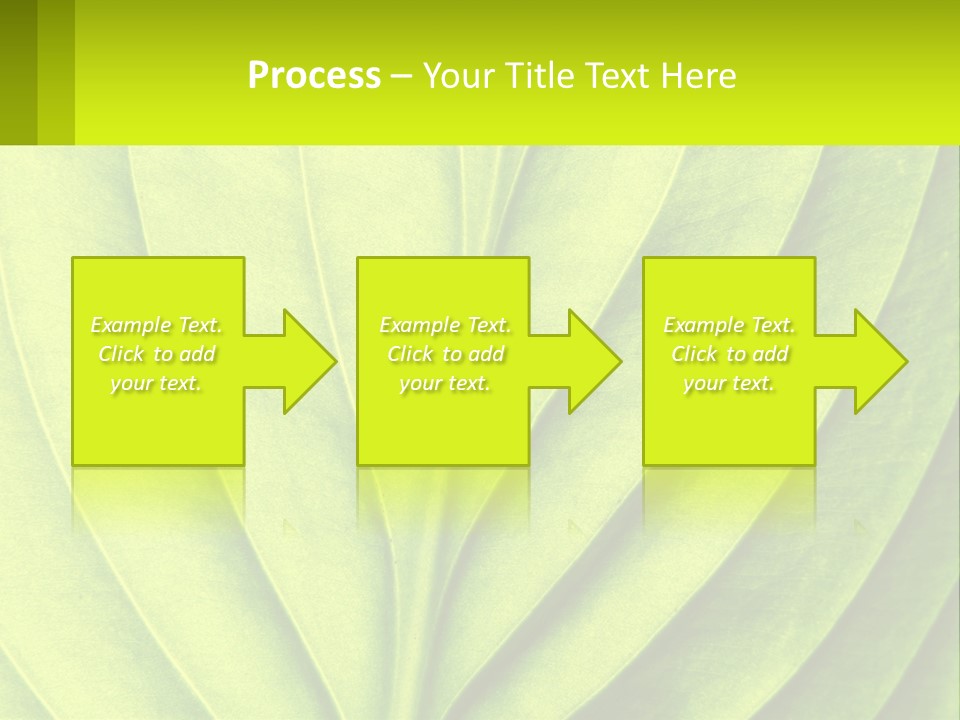 A Green Leaf Powerpoint Presentation PowerPoint Template