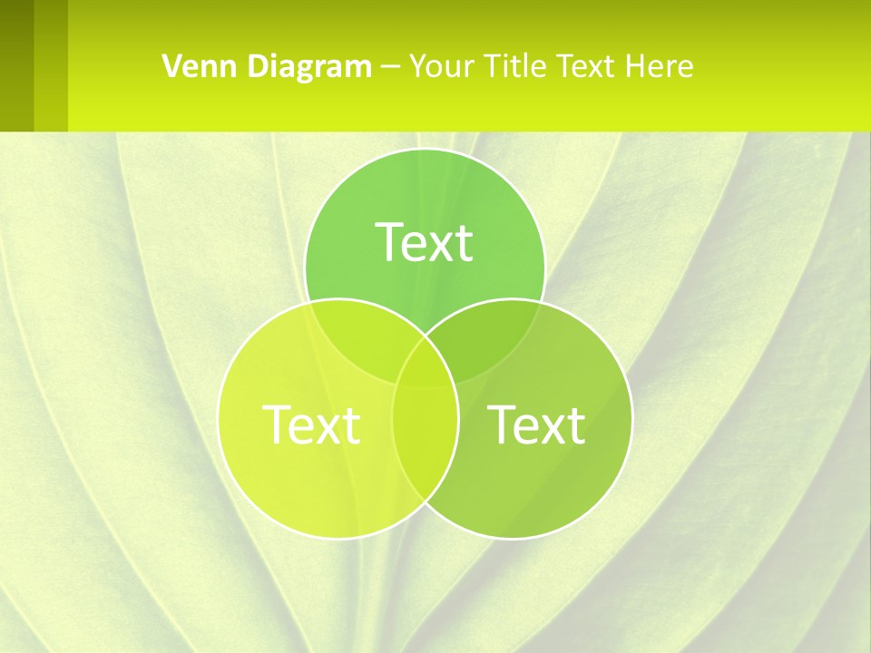 A Green Leaf Powerpoint Presentation PowerPoint Template