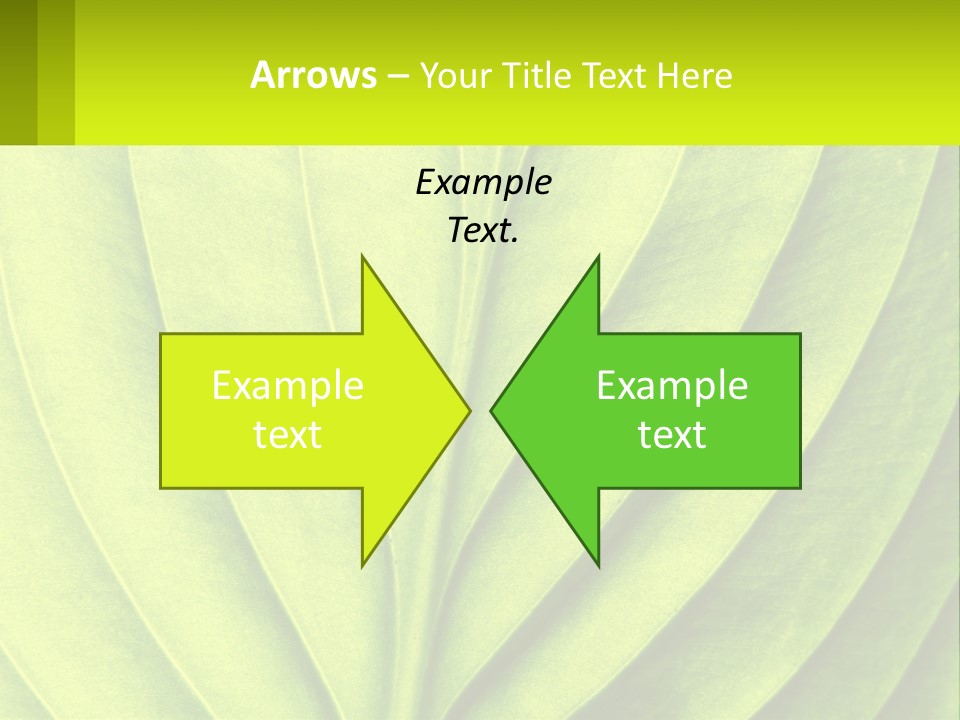 A Green Leaf Powerpoint Presentation PowerPoint Template