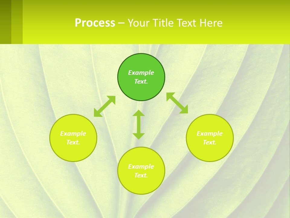 A Green Leaf Powerpoint Presentation PowerPoint Template