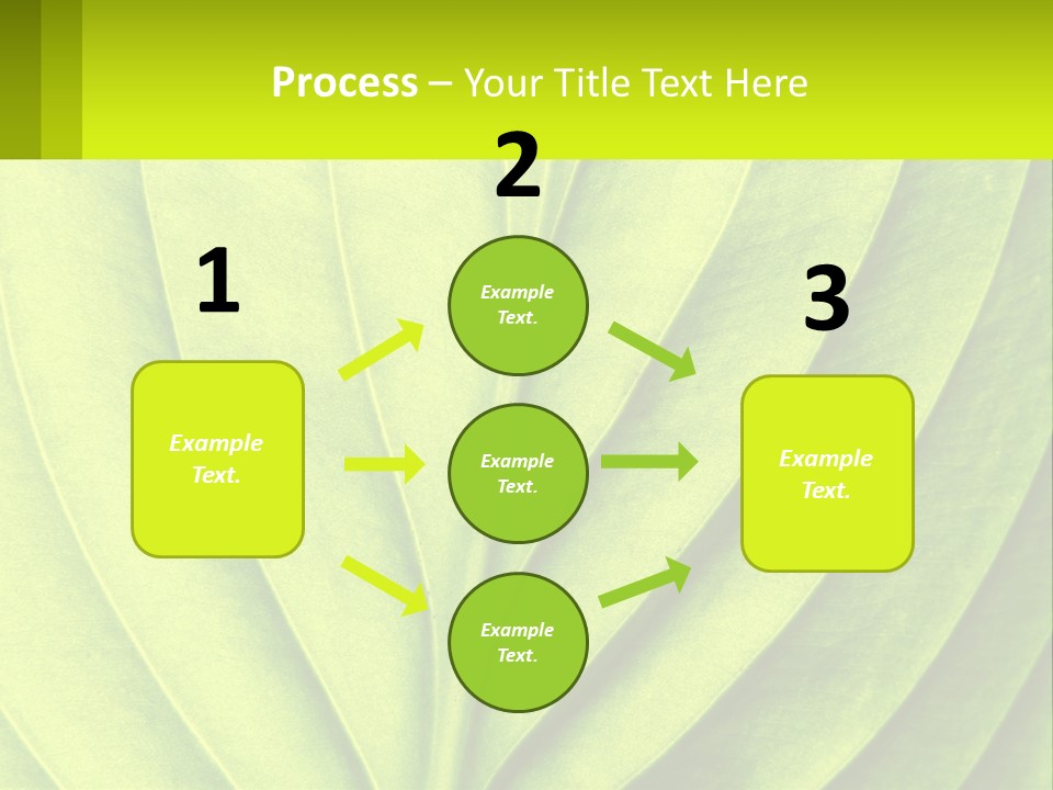 A Green Leaf Powerpoint Presentation PowerPoint Template