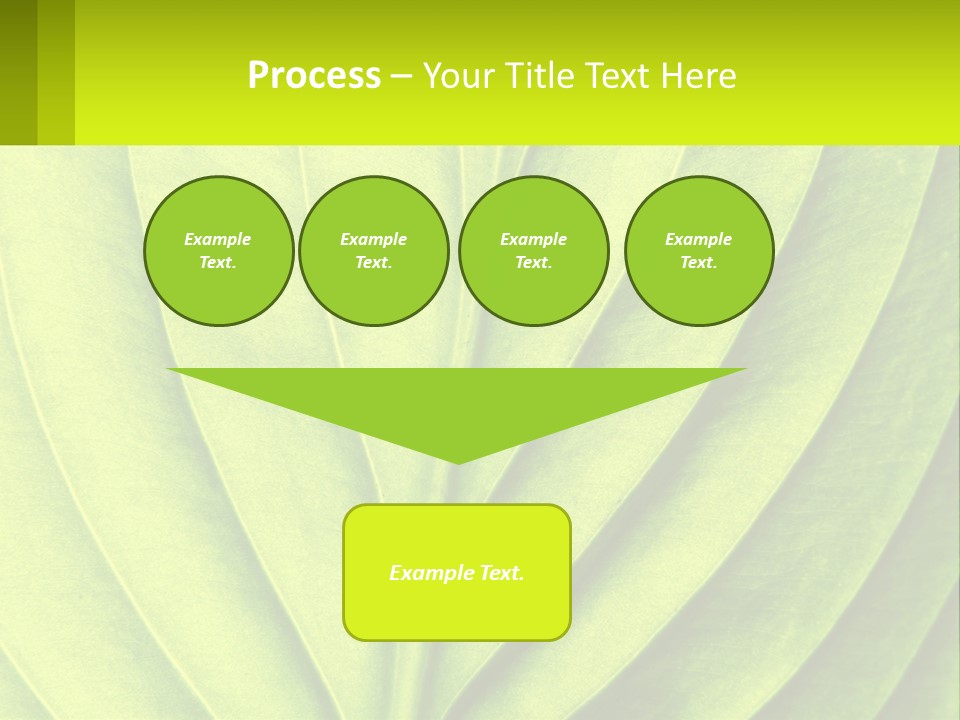 A Green Leaf Powerpoint Presentation PowerPoint Template