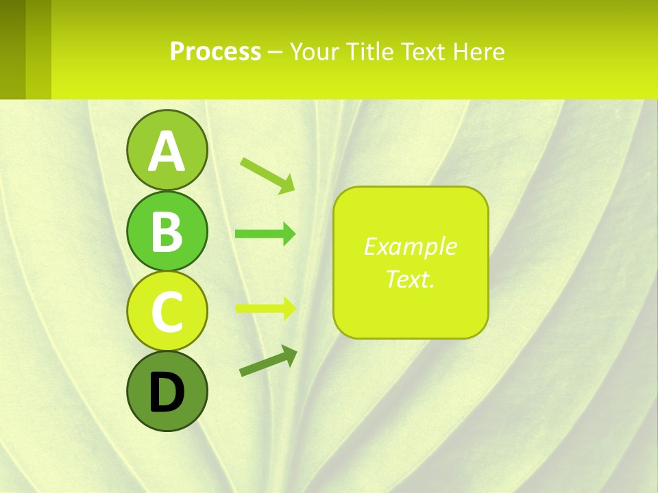 A Green Leaf Powerpoint Presentation PowerPoint Template