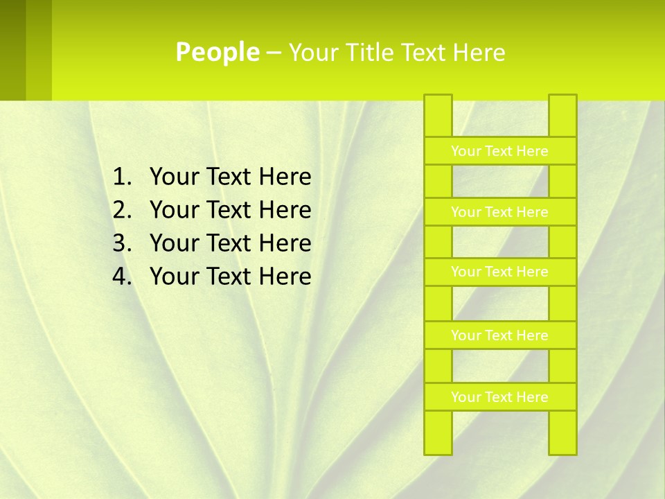 A Green Leaf Powerpoint Presentation PowerPoint Template