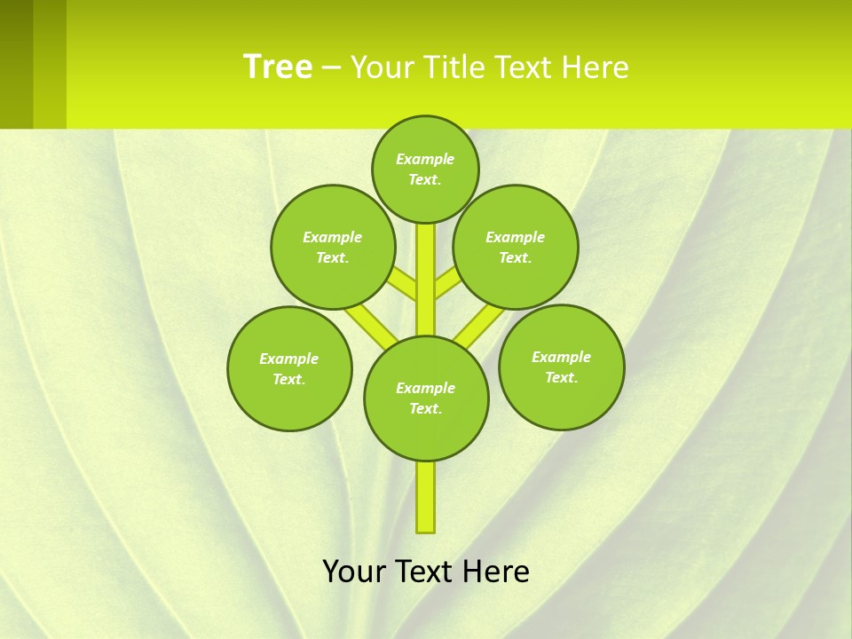 A Green Leaf Powerpoint Presentation PowerPoint Template
