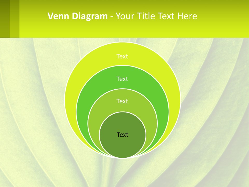 A Green Leaf Powerpoint Presentation PowerPoint Template