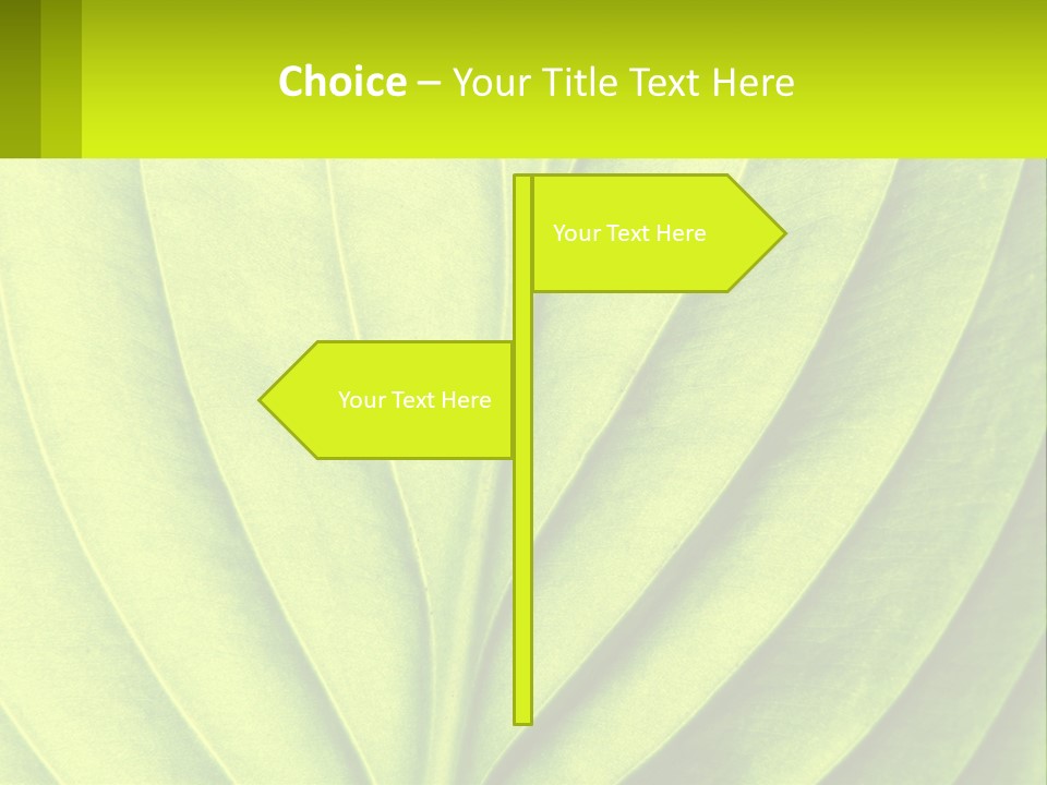 A Green Leaf Powerpoint Presentation PowerPoint Template