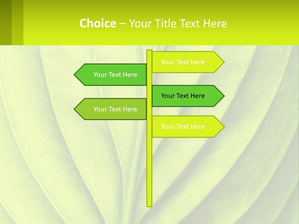 A Green Leaf Powerpoint Presentation PowerPoint Template
