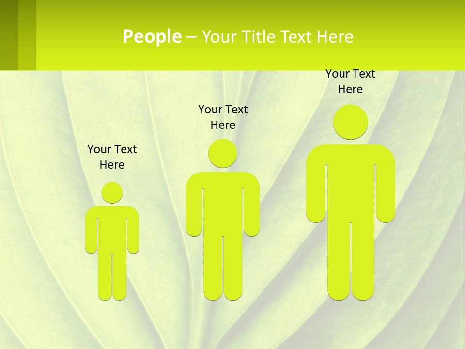 A Green Leaf Powerpoint Presentation PowerPoint Template