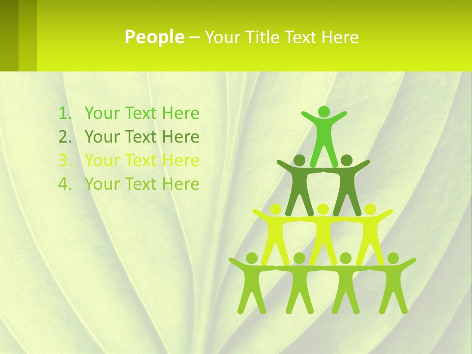 A Green Leaf Powerpoint Presentation PowerPoint Template
