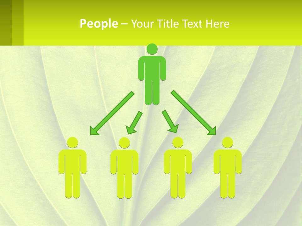 A Green Leaf Powerpoint Presentation PowerPoint Template